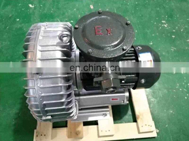 High Pressure AC/DC Motor  Battery Powered  Vacuum  Electric Air Pump Blower for Gardon
