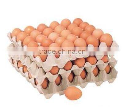 Hot sale low cost recycled waste paper egg tray machine