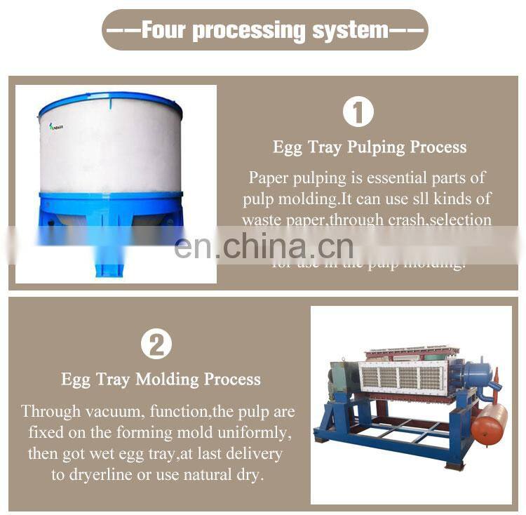 4000 pieces/h Egg tray pulp mold egg tray with lid production line support to customized