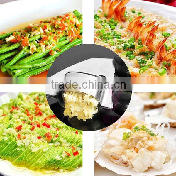 Manufacturer in stock solid Stainless Steel Professional Garlic Mincer/Press/garlic Crusher