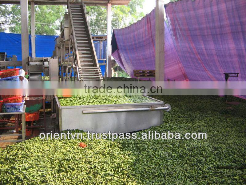 Best Selling Vietnamese Gherkins in brine