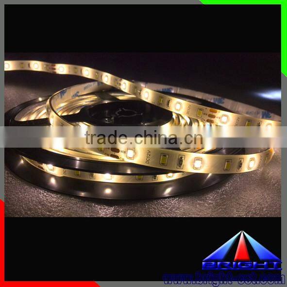 DIY White-Red Flexible LED Strip Light 2835 DC12V