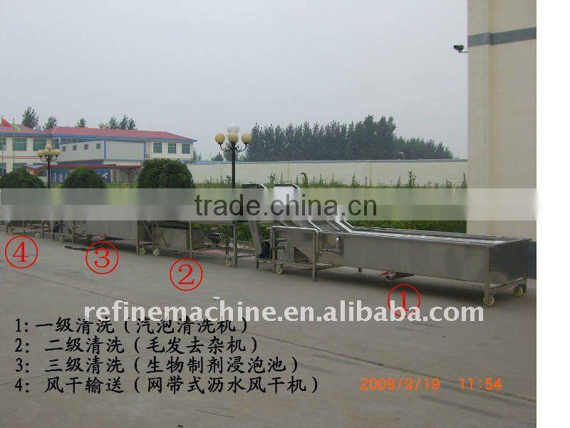 Fruit and Vegetable washing machine
