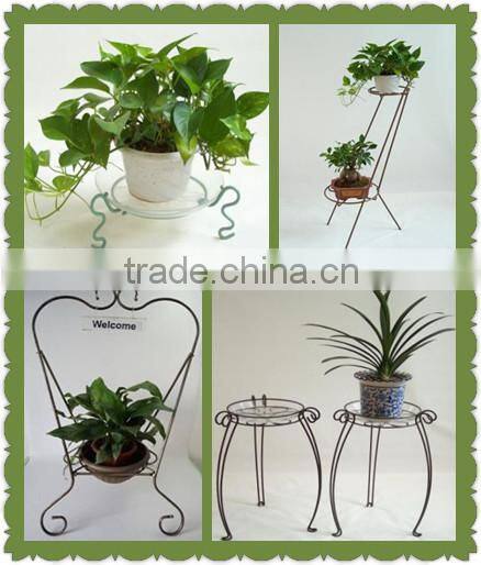 steel plant stand for showing