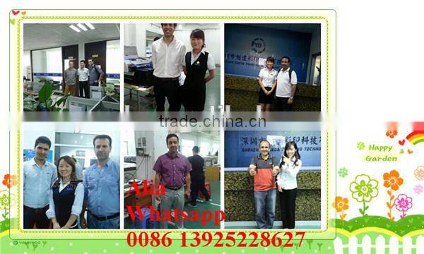 Large Format Direct Roll To Roll Texitle Printer with 1024 heads