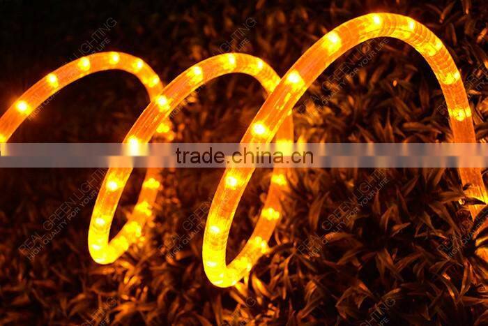 Special Decoration Amer 12V LED Rope Light