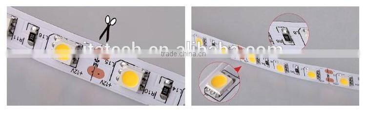 2.4W/M DC12V SMD3528 IP20 30LED/M Flexible Led Strip light