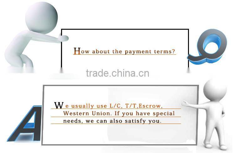 Animatronic rocking dinosaur kids