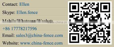 20 Years Factory and Expoter Weld Mesh 358 Security Fence