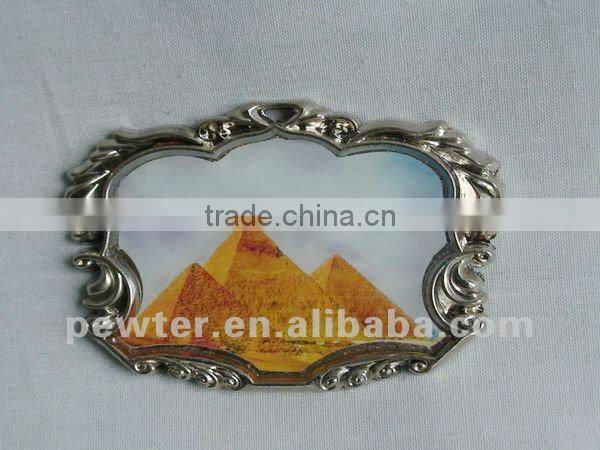 2012 dragonfly fridgemagnet 0073