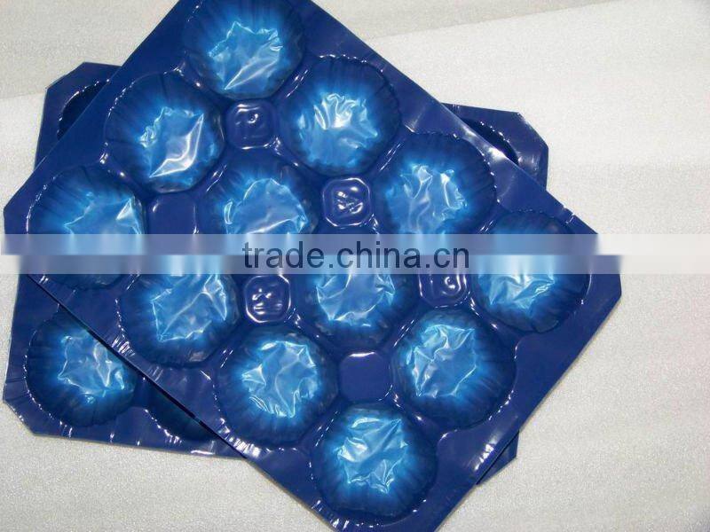 Environmental Dried Fruit Tray