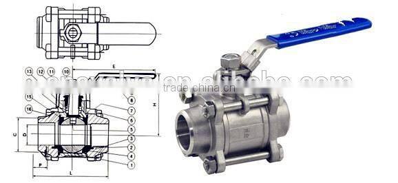 304 Stainless Steel 3PC Ball Valve 1000 WOG Full Port Female Threaded End