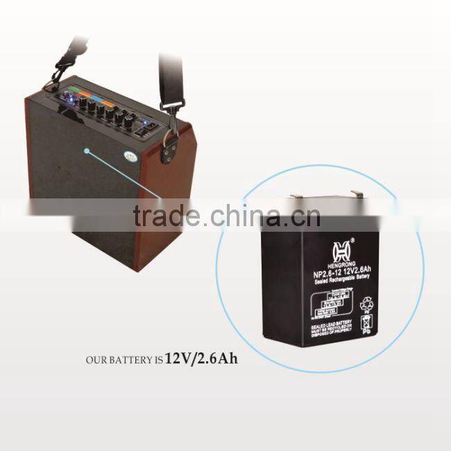 2 inch subwoofer speaker,mic audio subwoofer 12