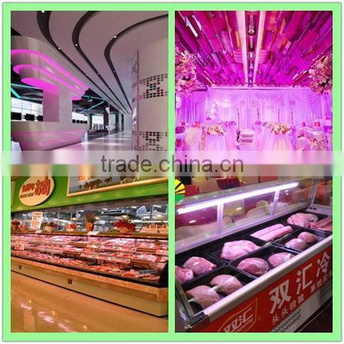 2016 hot sale LED pink light LED light source for fresh meat with 3 years warranty
