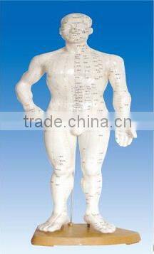 Double-standard human body model for acupuncture points by the extra-point model