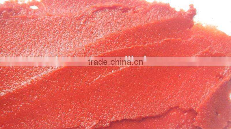 Delicious tomato paste with low price 800g canned tomato paste