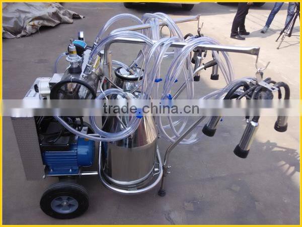 two buckets vacuum pump milking machine