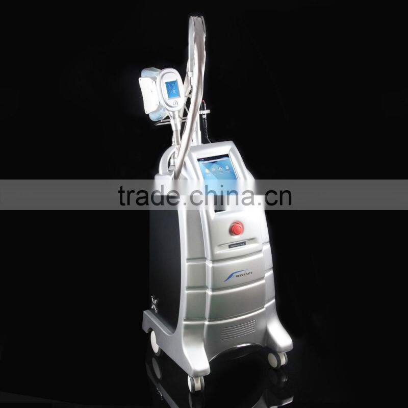 Factory price 3 changeable handles cryolipolysis freezing equipment, vertical cryolipolysis fat freezing machine