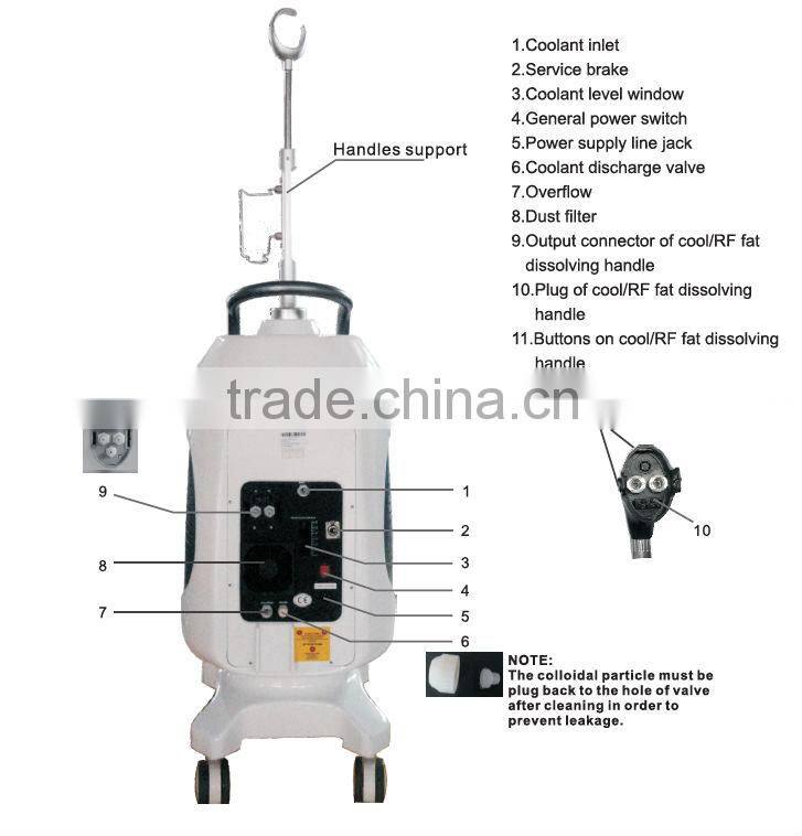 factory price Vertical style RF wrinkle removal machine with Two head One for eyes,one for body