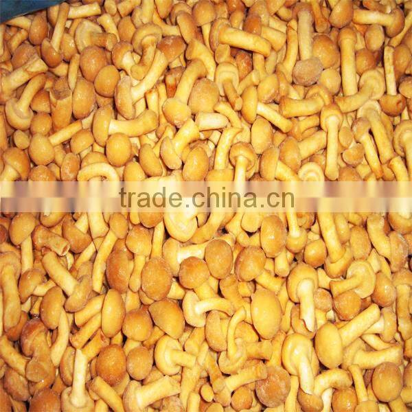 Frozen mixed mushrooms 4 types