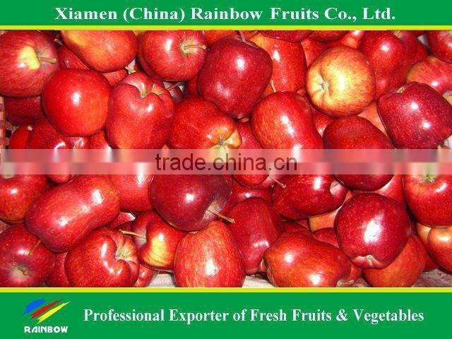 Red delicious Apple with good taste
