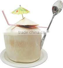 Fresh Indian Coconut in Semi Husked