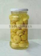 canned champions mushroom in jar for sale