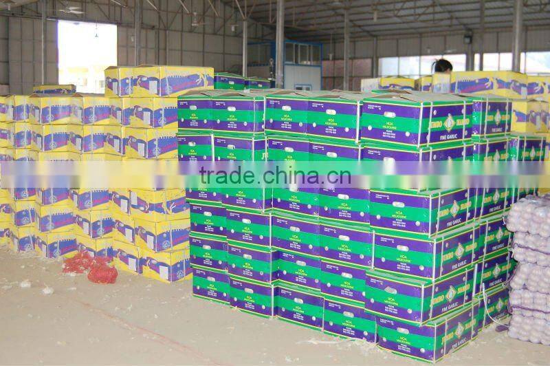 Fresh Garlic Global Foods health against cancer