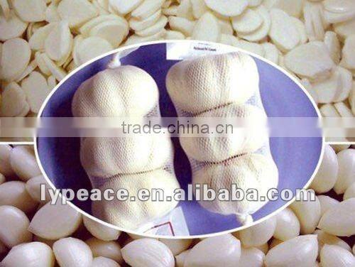 2012 new dried garlic flakes without roots