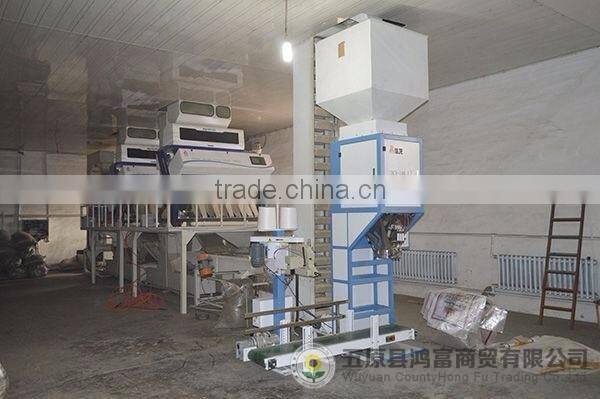 sunflower kernels confectionary grade /yellow sunflower kernels for buyers