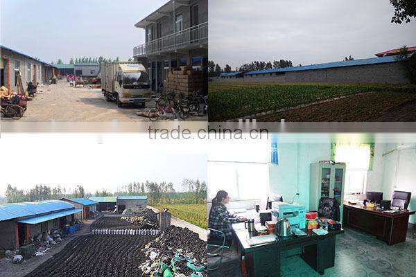 do OEM shisha charcoal manufacturer for bulk wholesale