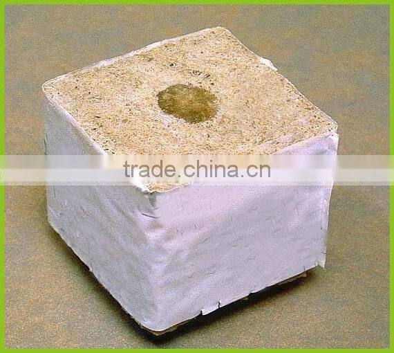 20cm Starter Plugs Cubes - rockwool hydroponic grow media. Propagation Cloning Rockwool Cubes