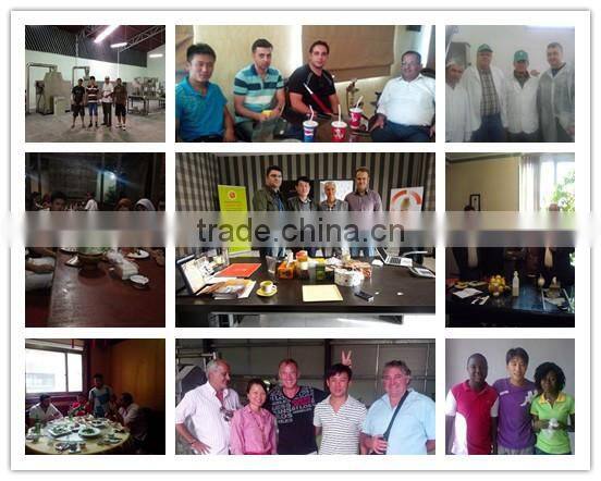 Best selling in China multilayer dryer, electric oven, electric baking oven