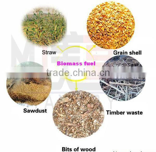 2017 Newest technology biofuel pellet mill/machine