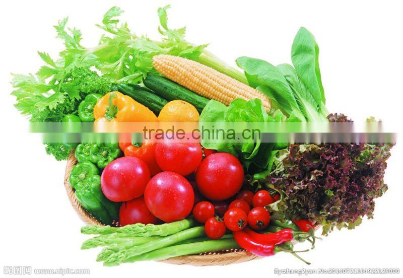 Y-8 hydraulic pressure Juice and Milk extractor