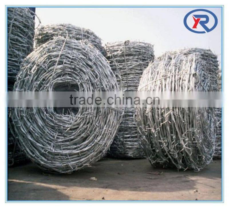 China supplier Cheap price galvanized Barbed wire/iron wire