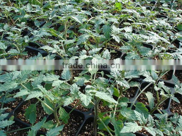 Latest Fashion Best Choice rice seedling tray