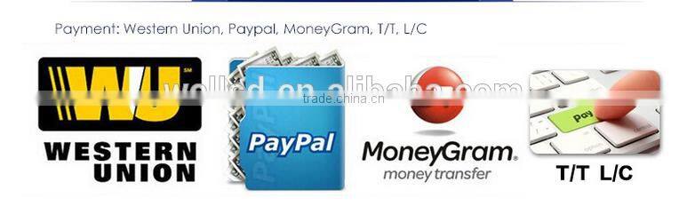 Gold Manufacturer Red Painted Lever Type Load Binder