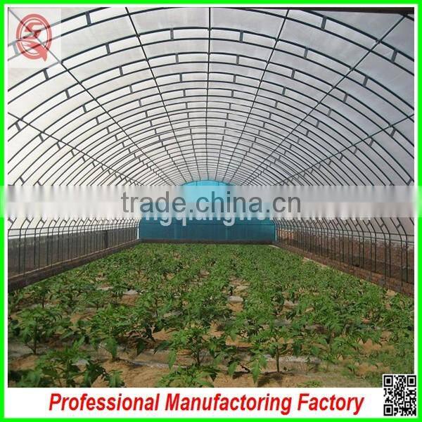 Hot sale 12m multi-span agriculture plastic greenhouses for vegetables