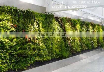 CHY060830 Home decorative wall/hanging plant wall/wall grass mat