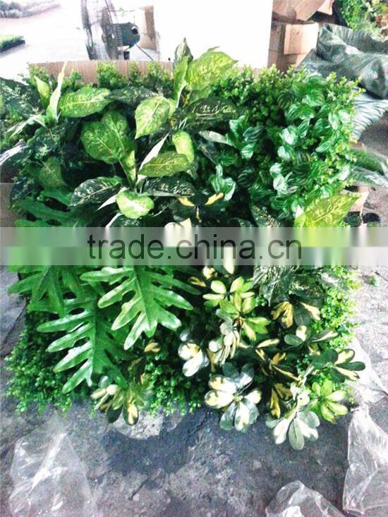 2017 factory price hot sale plastic plant wall artificial wall sale