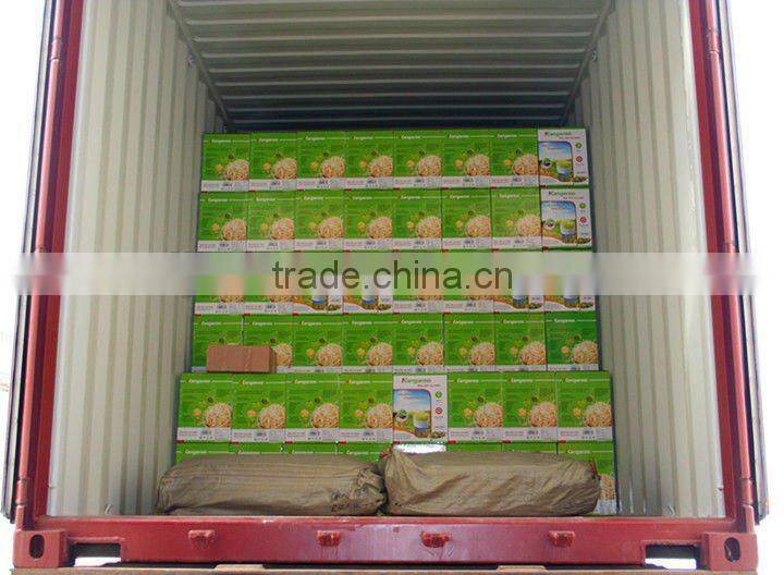 Automatic Sprout Growing Machine--Green Home Appliance--No Chemical