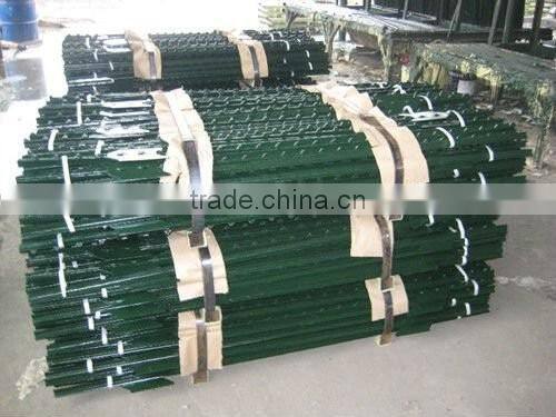 Studdened T-post and Y-post painted 5 feet 1.25lbs on sale china supplier