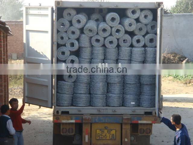 Barbed Iron Wire in Hebei province