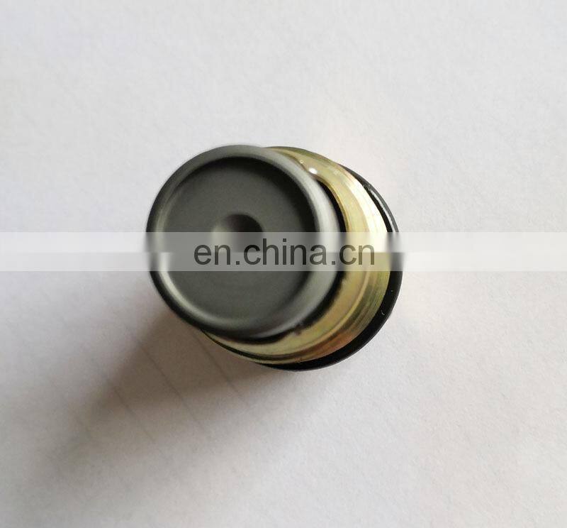 Manufacture Common Rail Pressure Relief Limiter Valve 1110010015