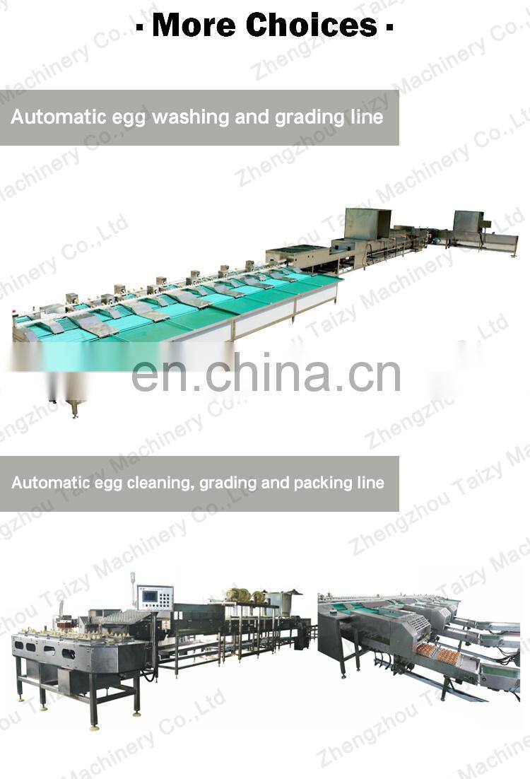 10000Pcs/H Egg Sorting Machine For Sale Vacuum Lifter Egg Grader Candling Machine