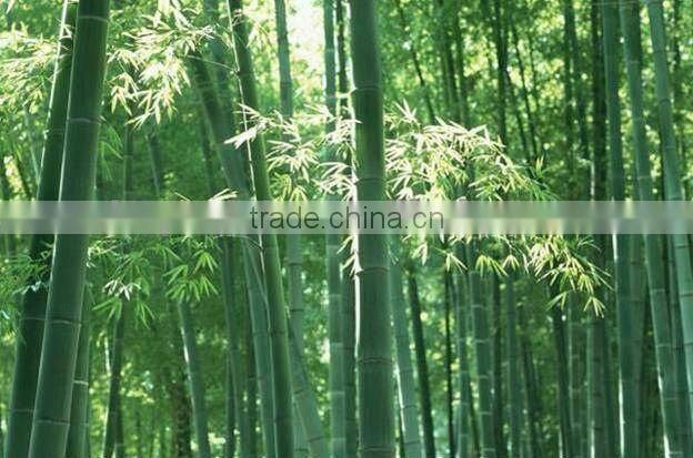 bamboo chopstick cover with half paper