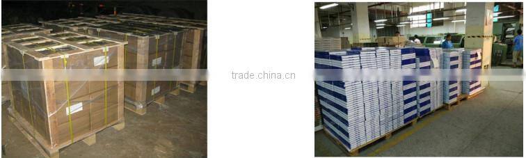 Professional dictionary printing for learning language