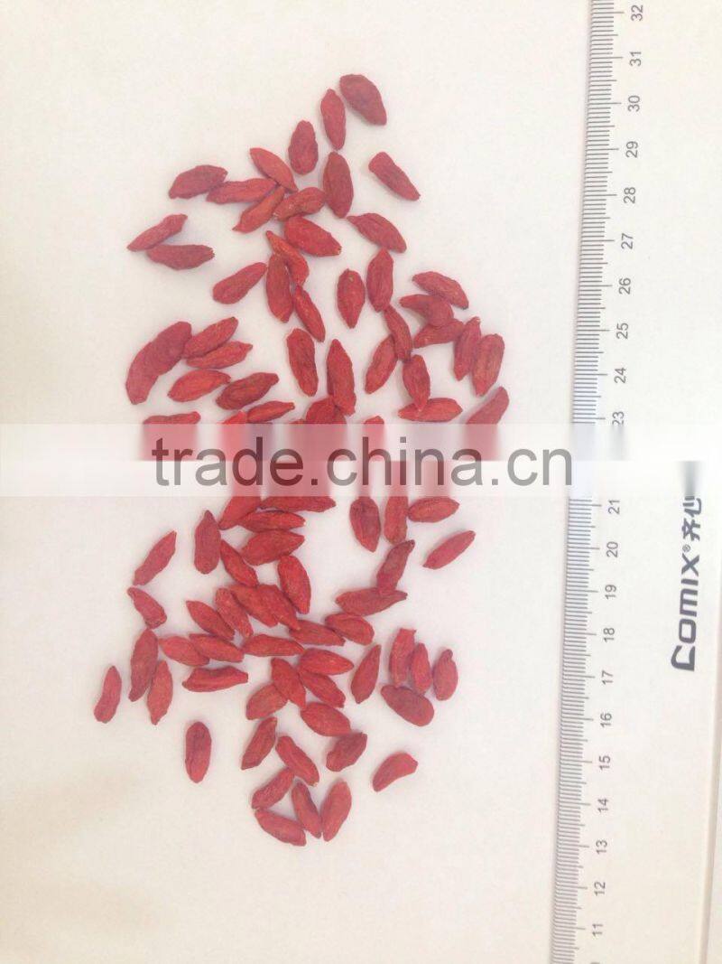 Chinese Ningxia goji berry