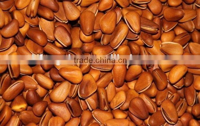 Pinenut Color Sorting